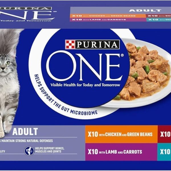 PURINA ONE Adult Cat Food Mini Fillets in Gravy 40 x 85g