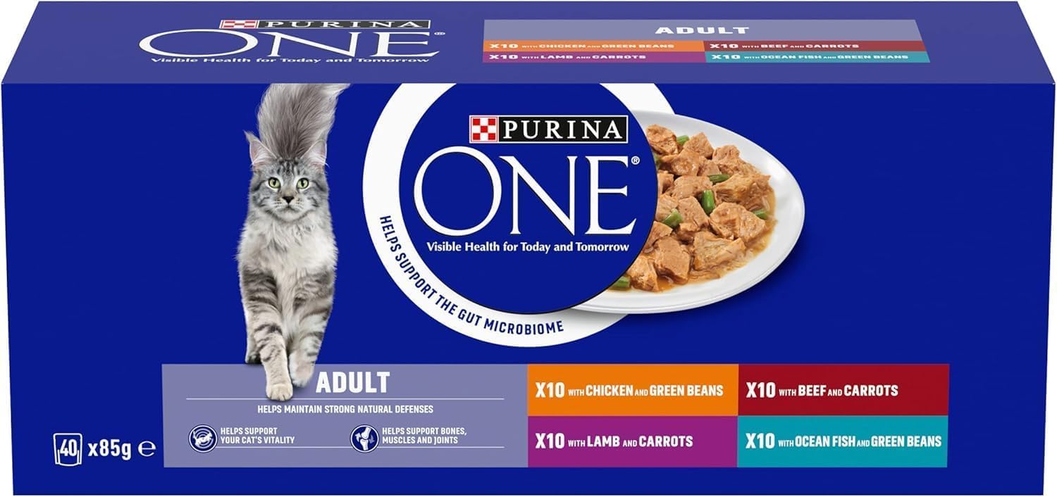 01 PURINA ONE Adult Cat Food Mini Fillets in Gravy 40 x 85g - Image 1