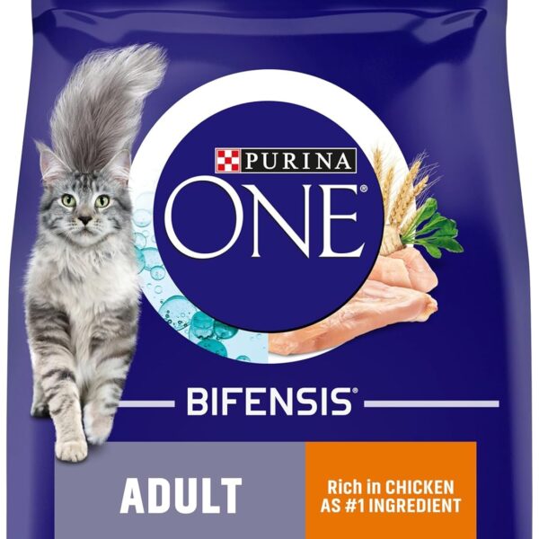 PURINA ONE Chicken Dry Cat Food 6kg