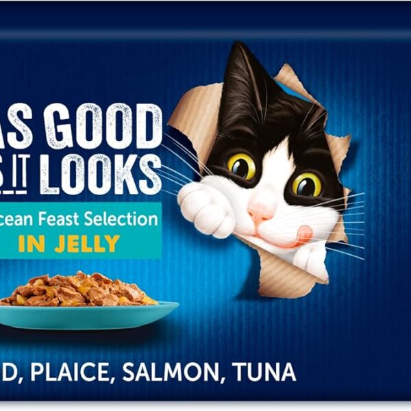 Felix As Good As it Looks Adult Cat Food Ocean, Transparent, 100 g, 40 pouches